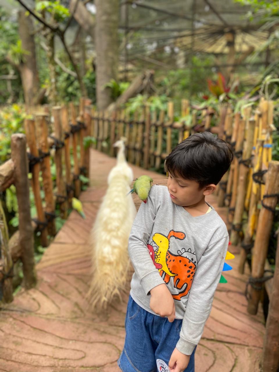 Syamil with the bird in his shoulder